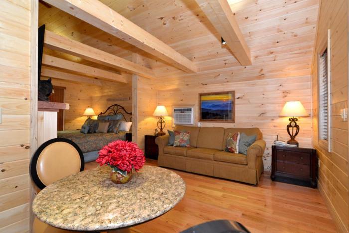Villa Mountain High à Gatlinburg Extérieur photo