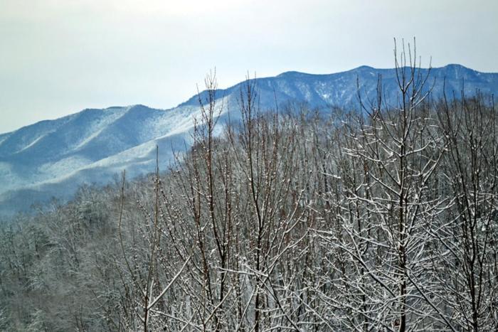 Villa Mountain High à Gatlinburg Extérieur photo